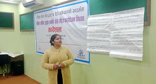 AF, CVWN and NA organize NAPII Workshop